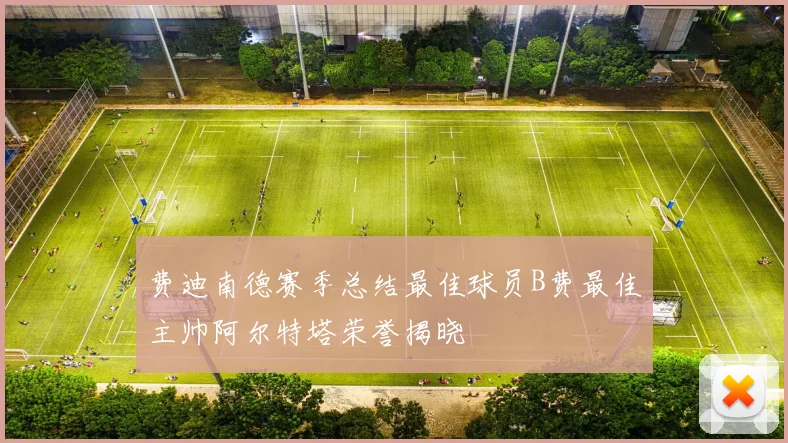 费迪南德赛季总结最佳球员B费最佳主帅阿尔特塔荣誉揭晓